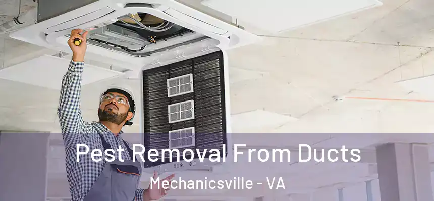 Pest Removal From Ducts Mechanicsville - VA