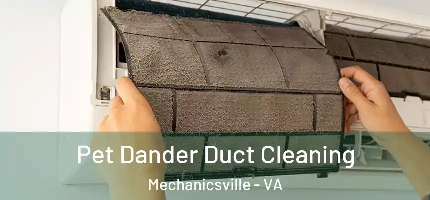  Pet Dander Duct Cleaning Mechanicsville - VA