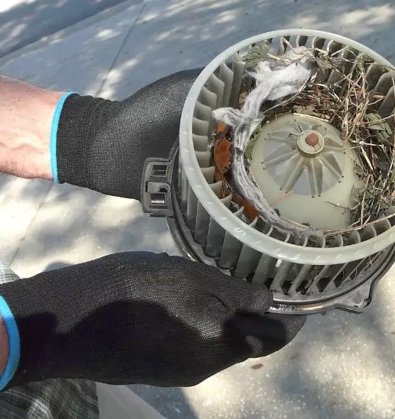 About Air Duct Mice Removal in Mechanicsville, VA