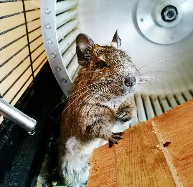 Why Homeowners & Businesses Trust Us Mechanicsville, VA